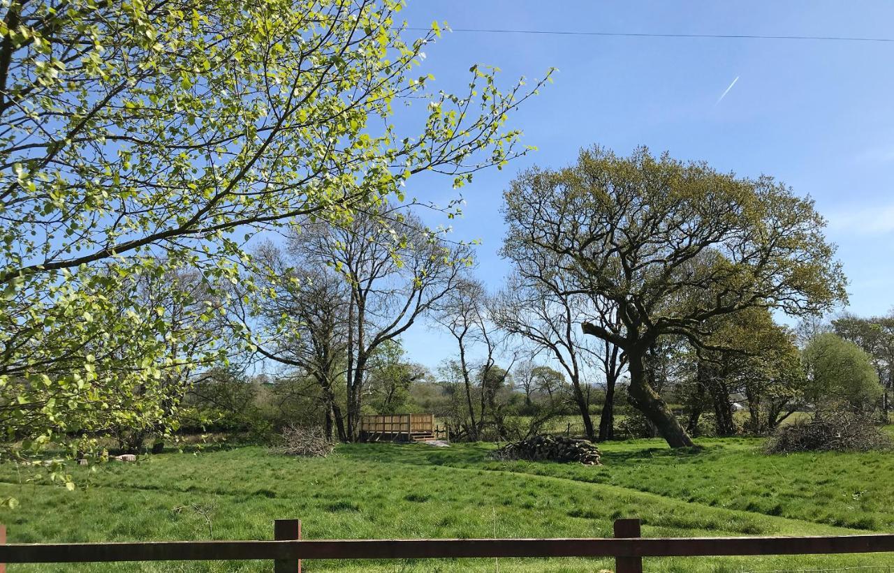 Maesyfelin Isaf B&B Llanybydder Bagian luar foto