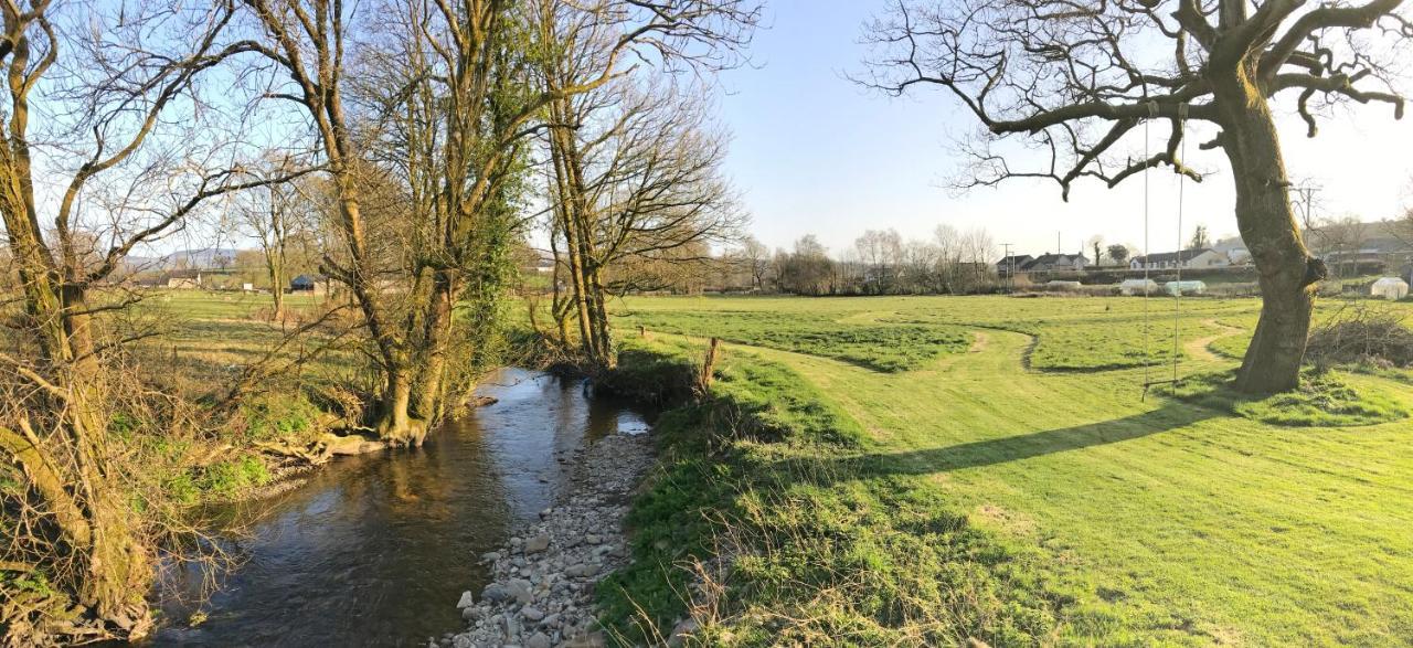 Maesyfelin Isaf B&B Llanybydder Bagian luar foto