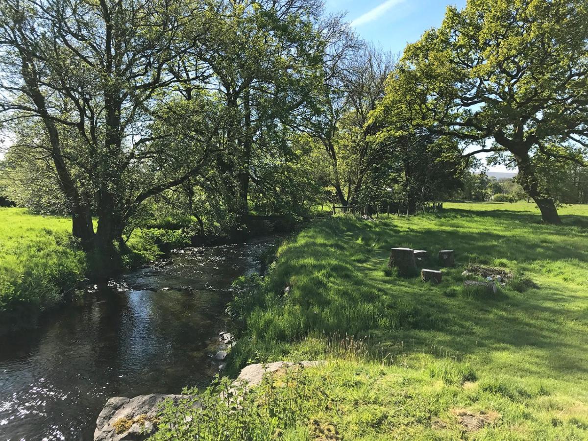 Maesyfelin Isaf B&B Llanybydder Bagian luar foto