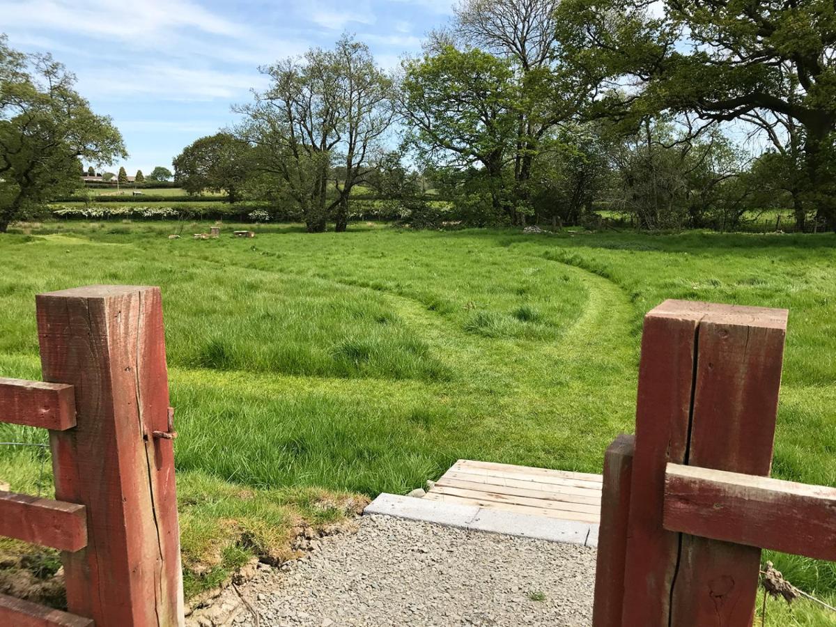 Maesyfelin Isaf B&B Llanybydder Bagian luar foto