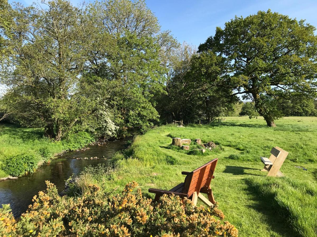 Maesyfelin Isaf B&B Llanybydder Bagian luar foto